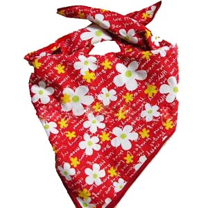 doggie fashion bandana